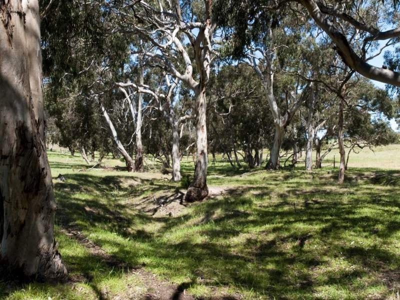 2017 Signal Flat Road Finniss Street, Strathalbyn SA 5255