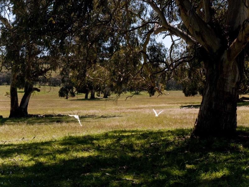 2016 Signal Flat Road Finniss Street, Ashbourne SA 5157