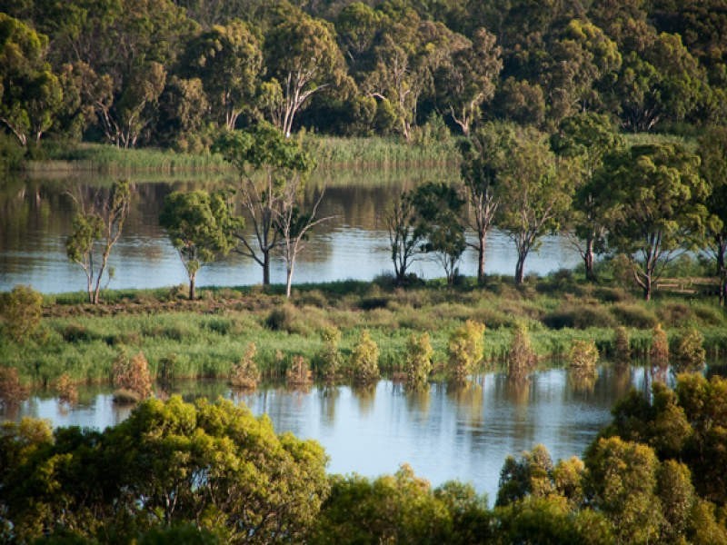 1 Bowhill Road, Mannum SA 5238