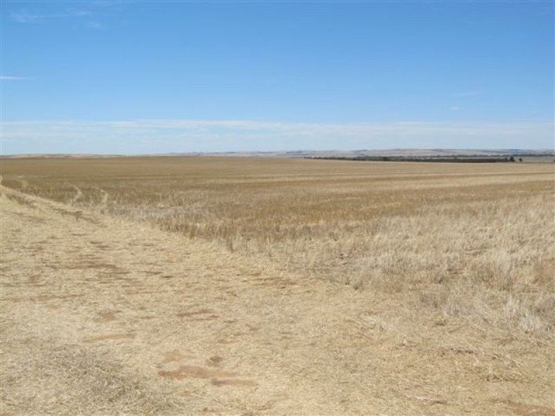 L205 & 206 Old Cattle Track, Redhill SA 5521