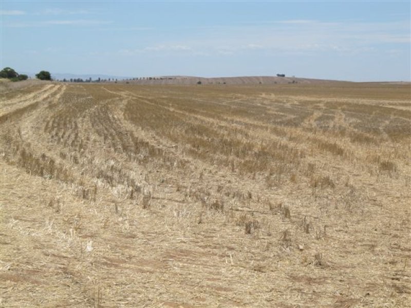 L205 & 206 Old Cattle Track, Redhill SA 5521