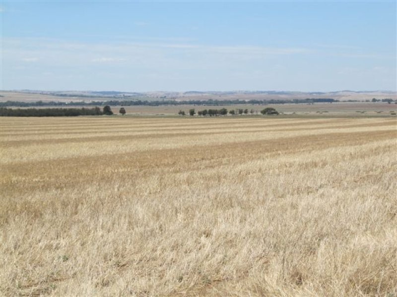 L205 & 206 Old Cattle Track, Redhill SA 5521