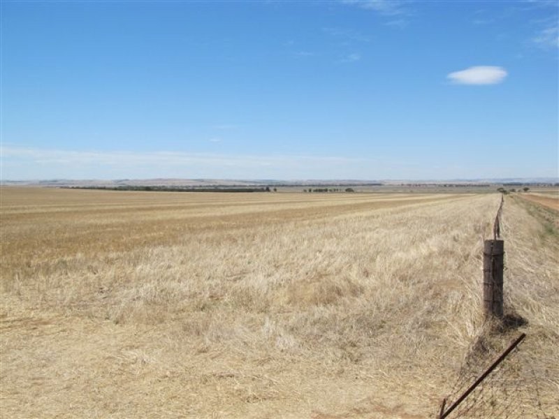L205 & 206 Old Cattle Track, Redhill SA 5521
