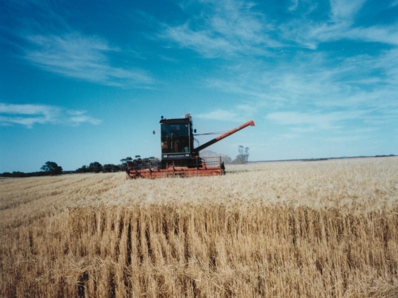 1 Tarragon Tanks Road, Mount Damper SA 5654