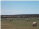 1 Tarragon Tanks Road, Mount Damper SA 5654
