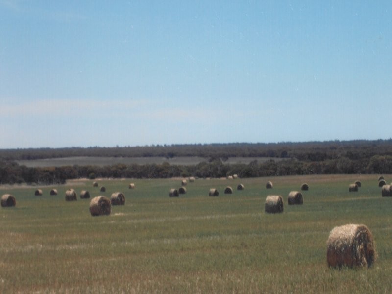1 Tarragon Tanks Road, Mount Damper SA 5654