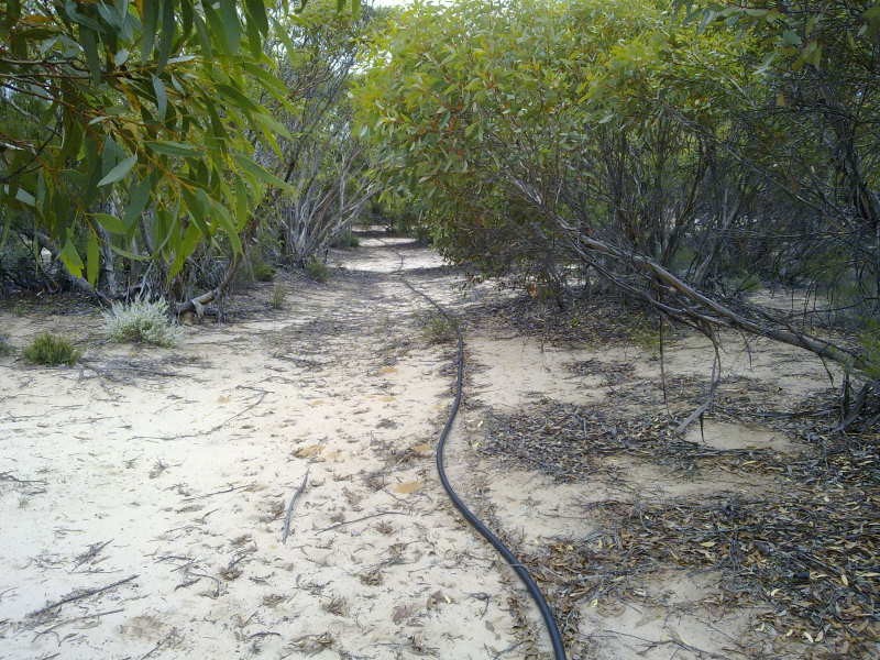 1 Blackets Road, Parrakie SA 5301