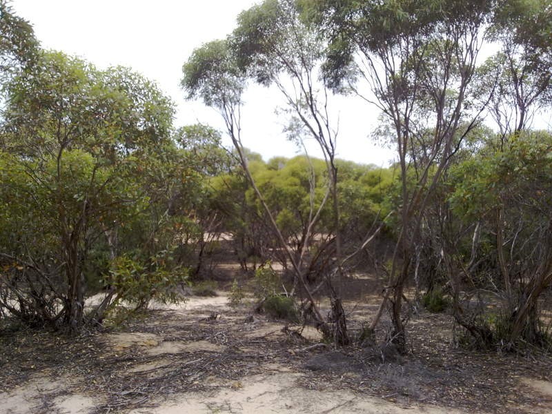 1 Blackets Road, Parrakie SA 5301