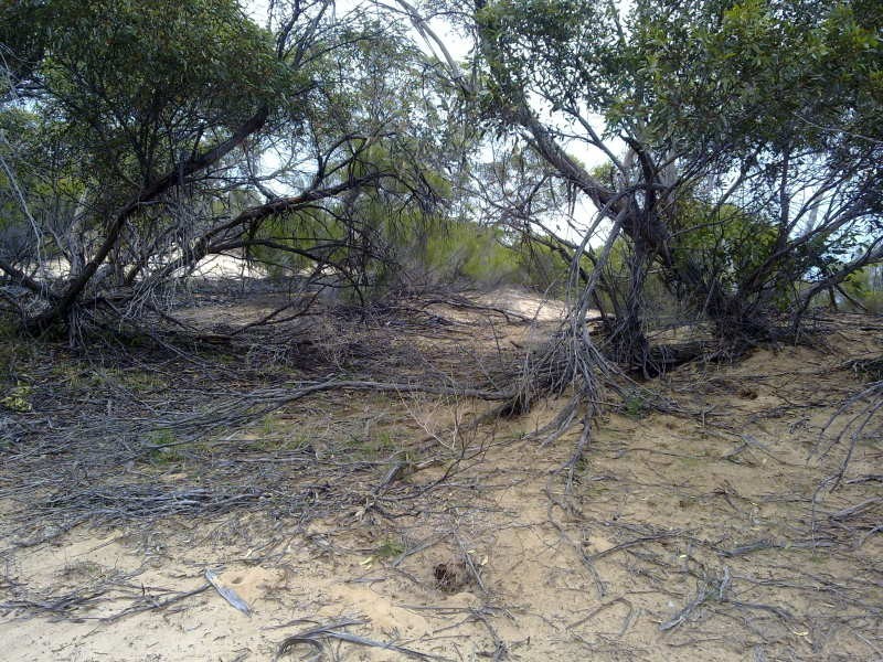 1 Blackets Road, Parrakie SA 5301