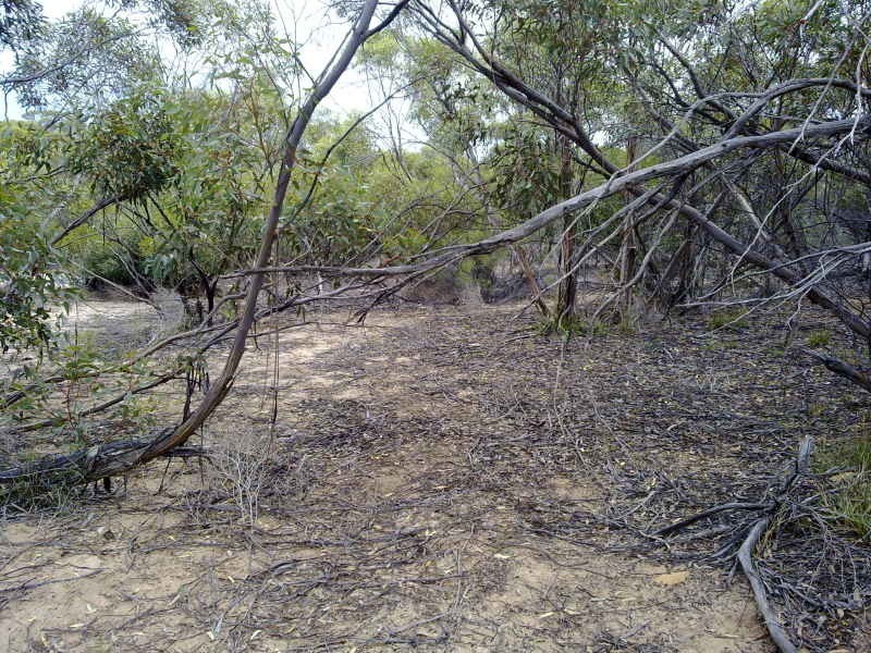 1 Blackets Road, Parrakie SA 5301