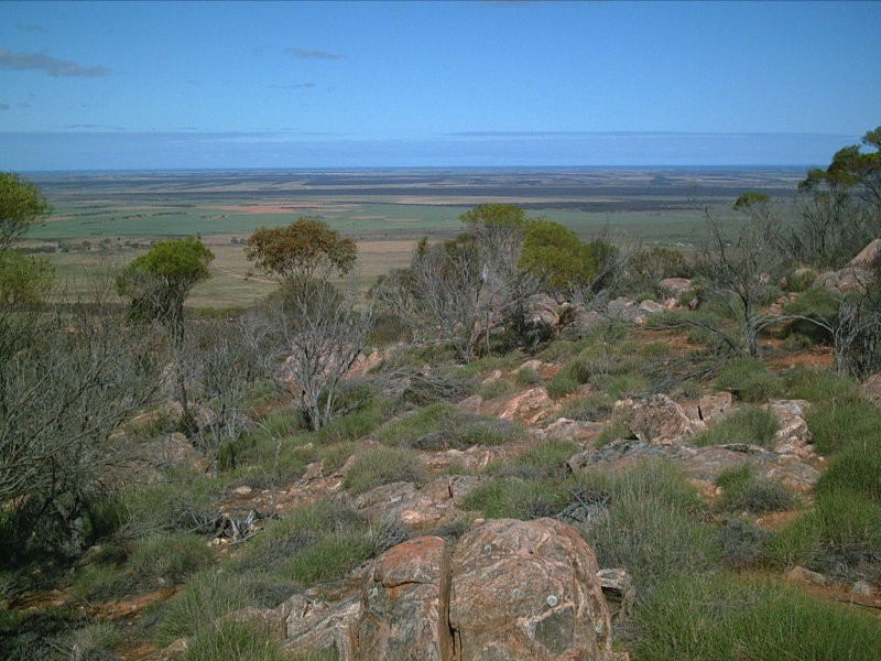 1 Tonkin Road, Cowell SA 5602