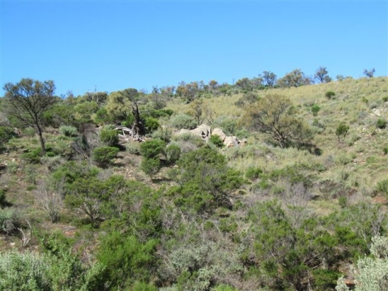 1 Tonkin Road, Cowell SA 5602