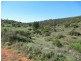 1 Tonkin Road, Cowell SA 5602