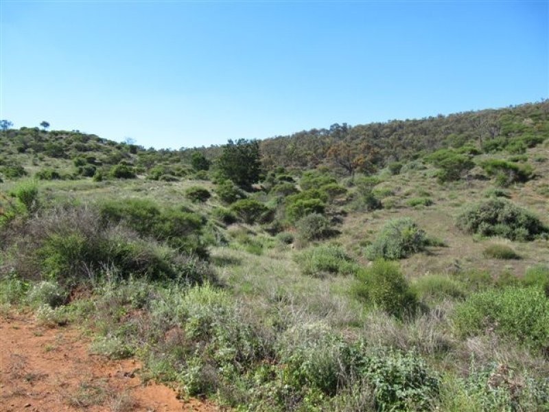 1 Tonkin Road, Cowell SA 5602