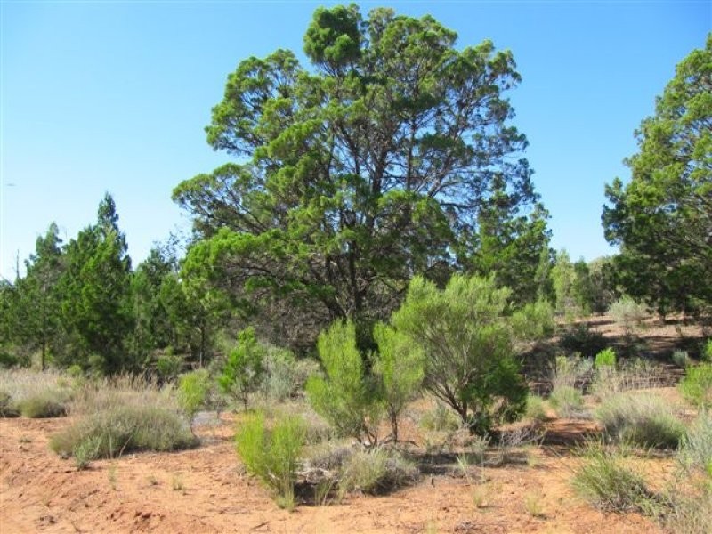 1 Tonkin Road, Cowell SA 5602