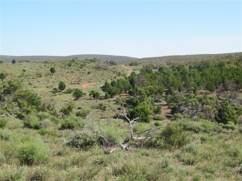 1 Tonkin Road, Cowell SA 5602