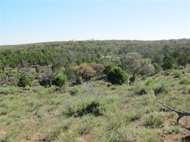 1 Tonkin Road, Cowell SA 5602
