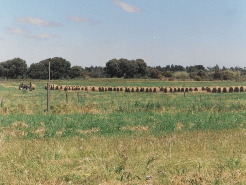 45 Washpool Road, Tailem Bend SA 5259