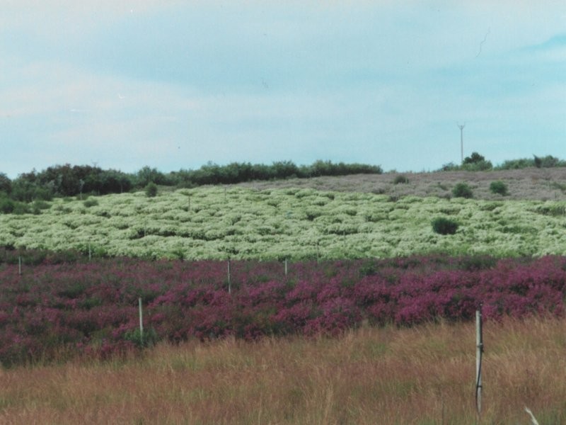 45 Washpool Road, Tailem Bend SA 5259