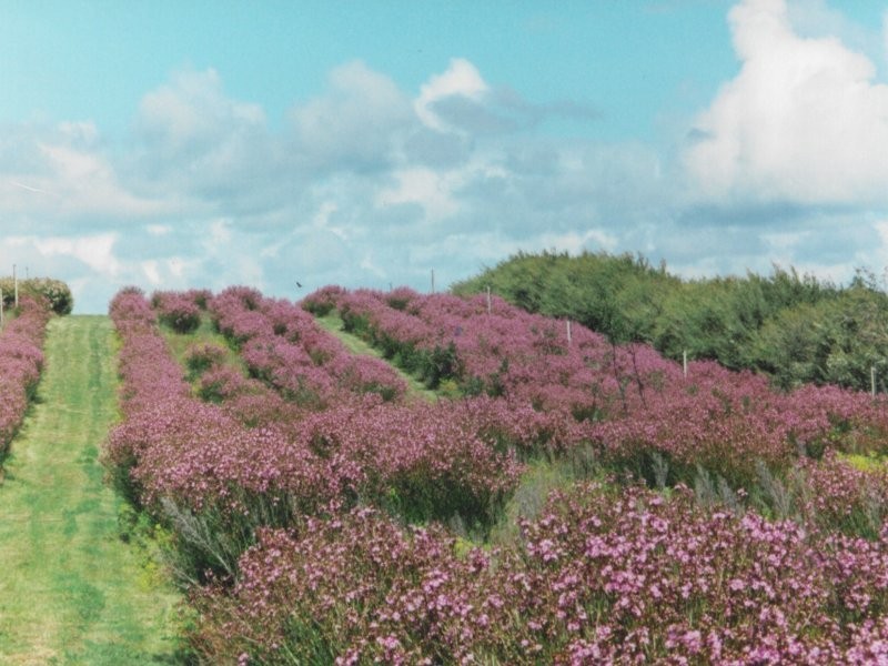 45 Washpool Road, Tailem Bend SA 5259