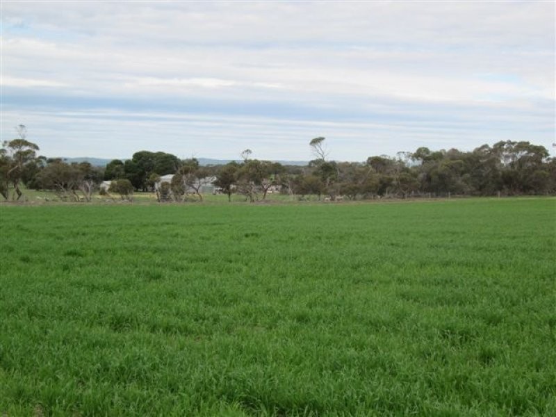 11 Settlers Road, Cummins SA 5631