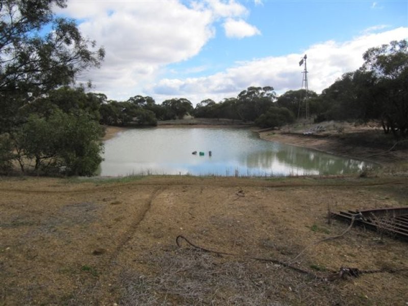 11 Settlers Road, Cummins SA 5631