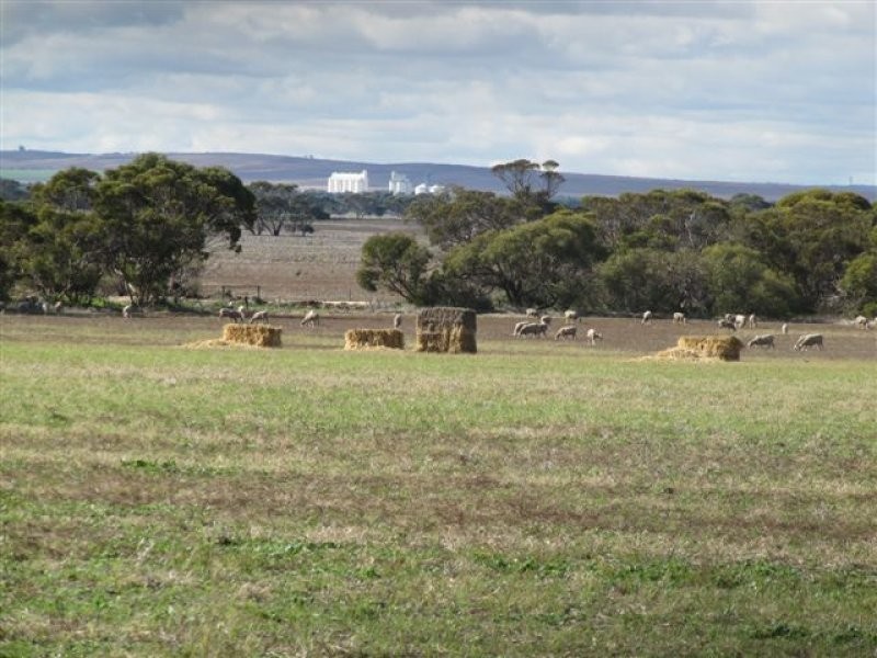 11 Settlers Road, Cummins SA 5631