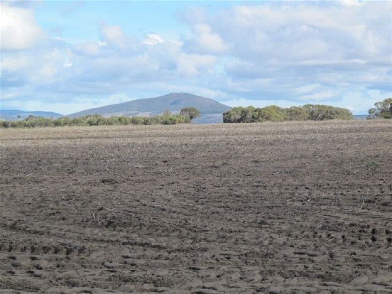 11 Settlers Road, Cummins SA 5631