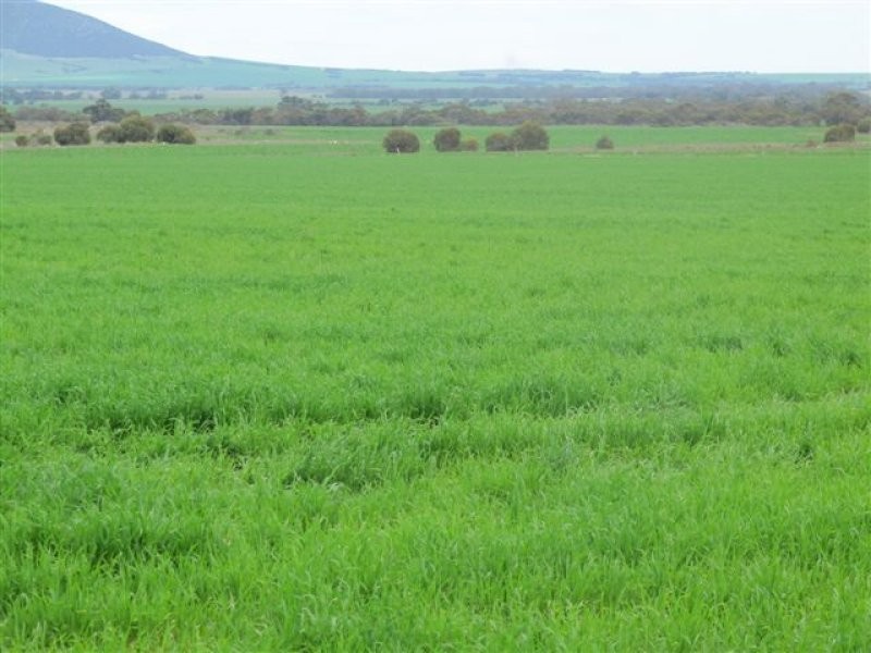 11 Settlers Road, Cummins SA 5631