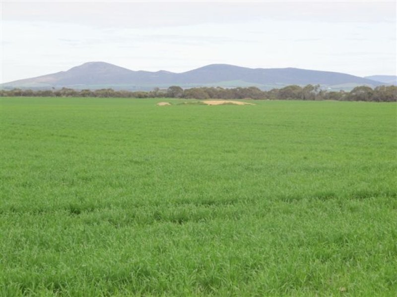 11 Settlers Road, Cummins SA 5631