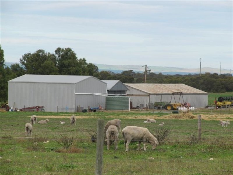 11 Settlers Road, Cummins SA 5631