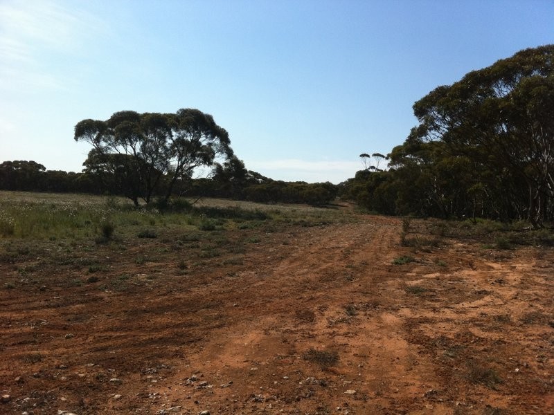 L301 Rock N Roll Road, Bowhill SA 5238