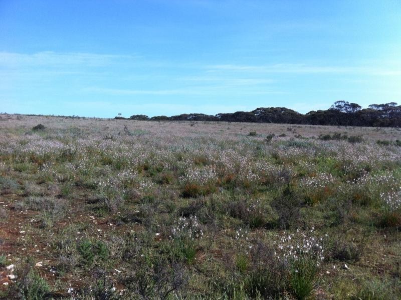 L301 Rock N Roll Road, Bowhill SA 5238