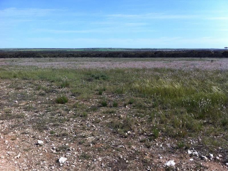 L301 Rock N Roll Road, Bowhill SA 5238