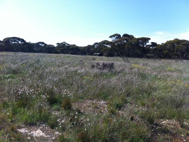 L301 Rock N Roll Road, Bowhill SA 5238