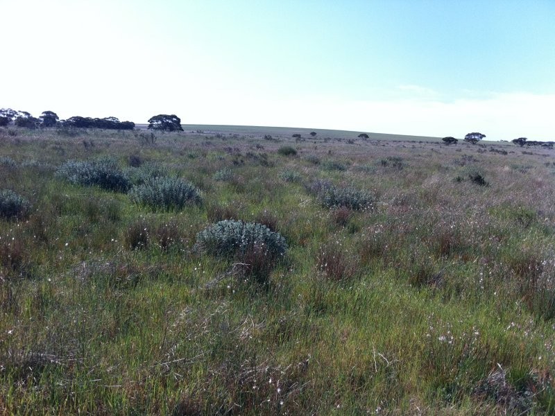 L301 Rock N Roll Road, Bowhill SA 5238