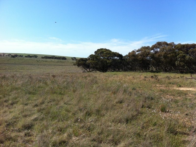 L301 Rock N Roll Road, Bowhill SA 5238