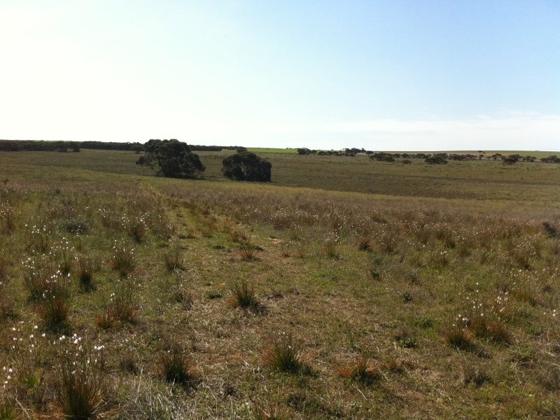 L301 Rock N Roll Road, Bowhill SA 5238