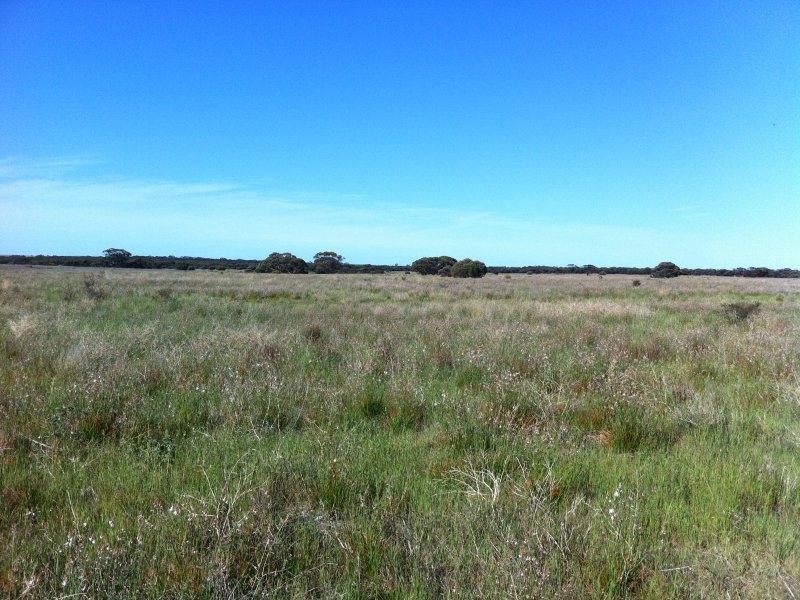 L301 Rock N Roll Road, Bowhill SA 5238