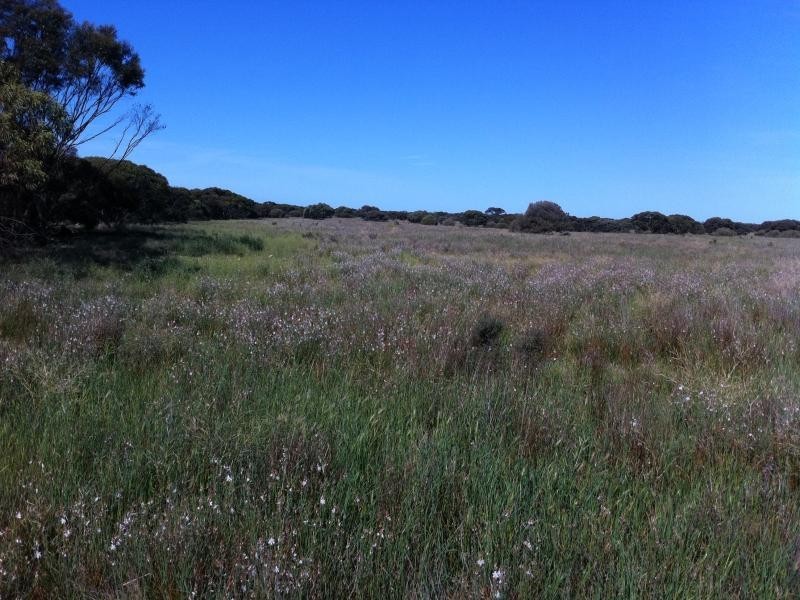 L301 Rock N Roll Road, Bowhill SA 5238