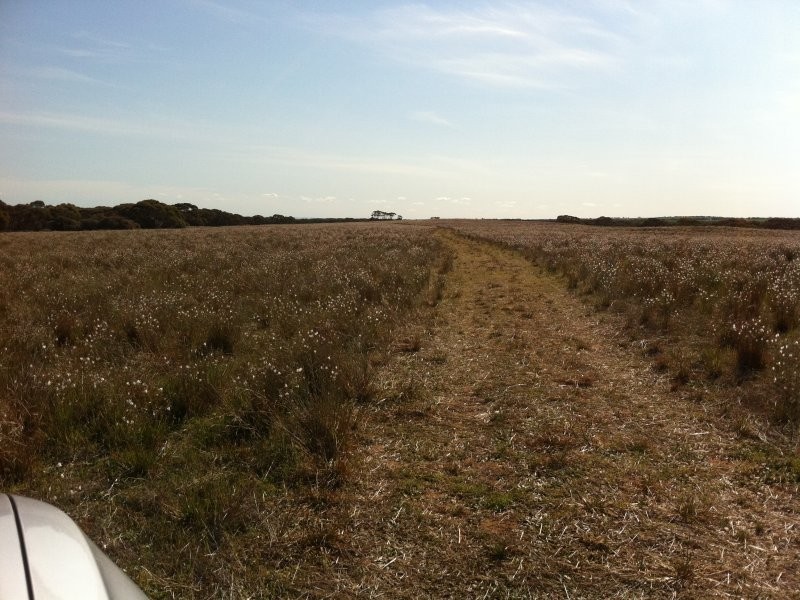 L301 Rock N Roll Road, Bowhill SA 5238