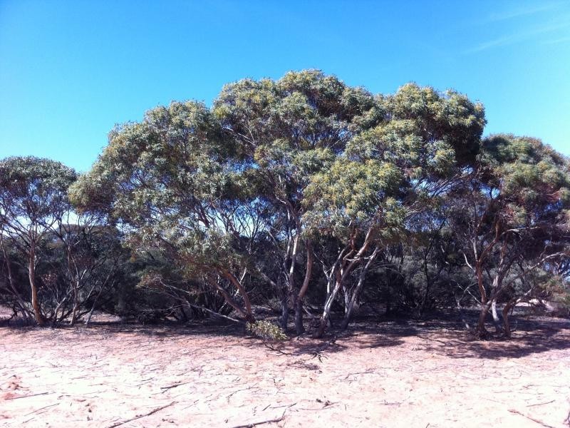 L301 Rock N Roll Road, Bowhill SA 5238