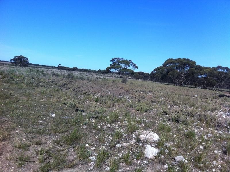 L301 Rock N Roll Road, Bowhill SA 5238