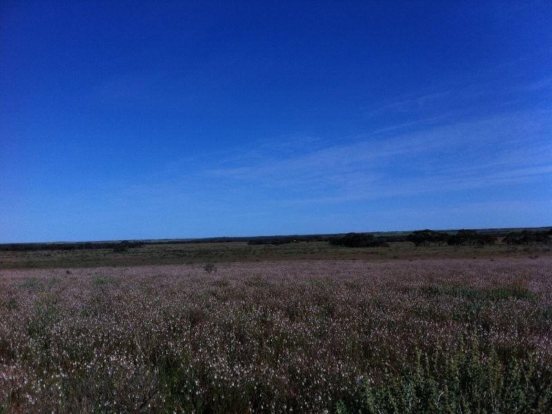 L301 Rock N Roll Road, Bowhill SA 5238