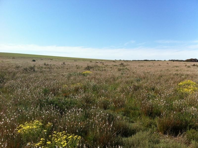 L301 Rock N Roll Road, Bowhill SA 5238