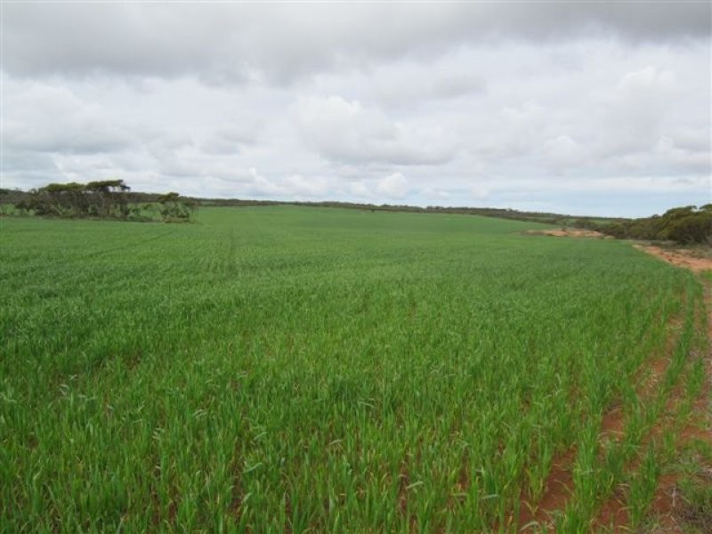 1 Scenic Highway, Cowell SA 5602