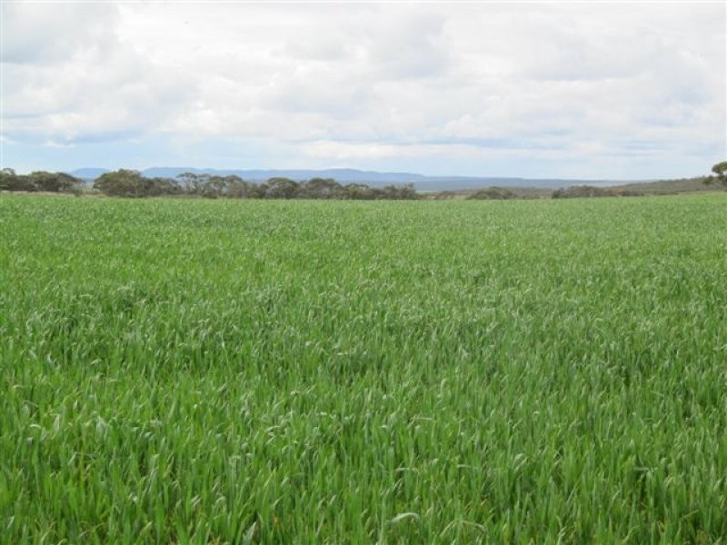 1 Scenic Highway, Cowell SA 5602