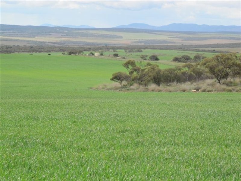 1 Scenic Highway, Cowell SA 5602