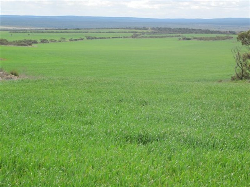 1 Scenic Highway, Cowell SA 5602