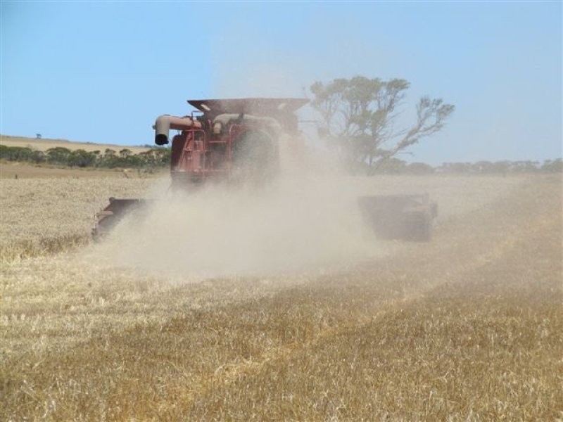 1 Scenic Highway, Cowell SA 5602